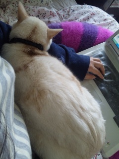 ���󂳂ꂵ���r