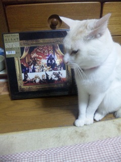 �L����Ȃ��b