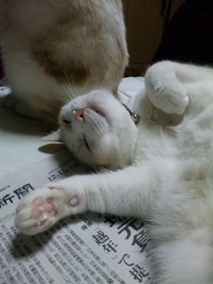 �Ƃ�����