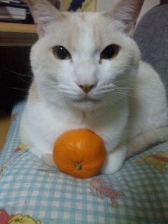 �����Ă܂��ā[