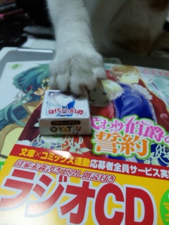 �L����Ȃ��L��