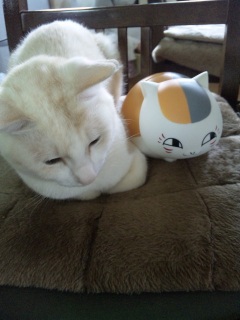 �ɂ�񂱐搶��