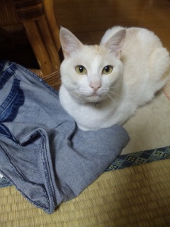 �����D��