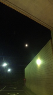 �������ꂢ