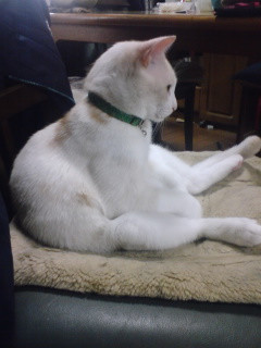 ��������(�����_)