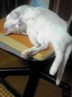 ���ǂ������肳��