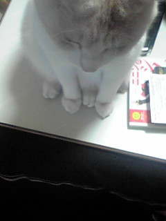 �����݂̍����