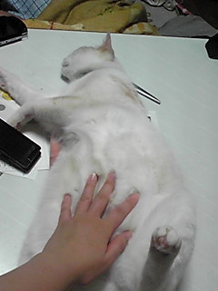 �����Ӂ[��I