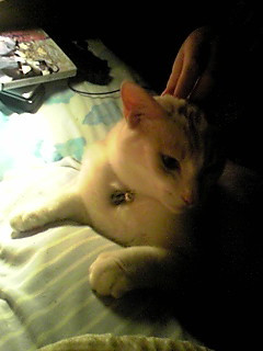 �������܁I