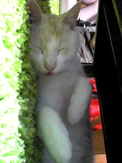 ���`��`�߁`���`��`