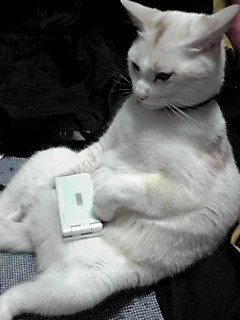 �悹�V���[�Y