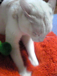 �������������I�I�I