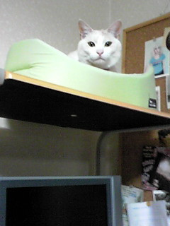 ���̏�p�[�g��