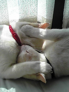 �M���M���ёU��