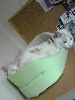 ����R��`�H