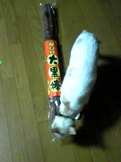 ������������������