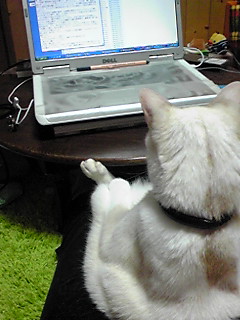 ���e����