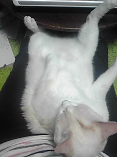 ��(��)��