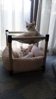 �������[�I